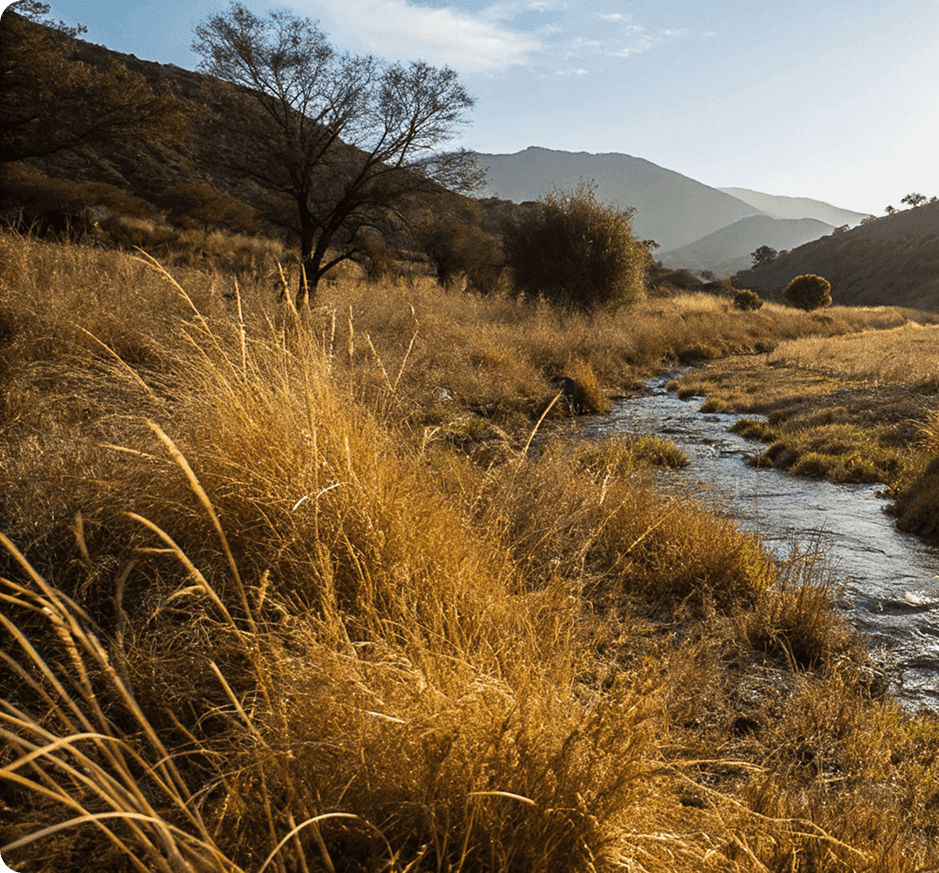 Encanto del Valle valley landscape